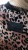 BLUZA-W-PANTERKE-LEMONADA-Material-dominujacy-poliester.jpg